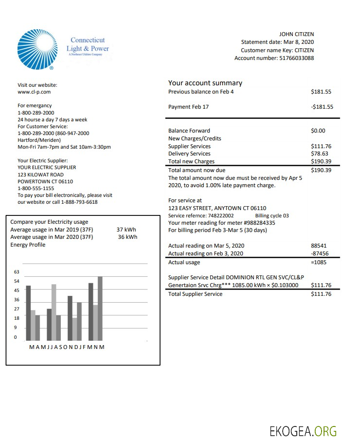 USA Connecticut Light & Power electricity utility bill in Word and PDF format